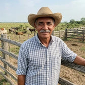 Hernán P.